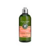 L'Occitane Shampooing Réparation Intense 300 Ou 500ml